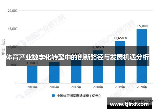 体育产业数字化转型中的创新路径与发展机遇分析