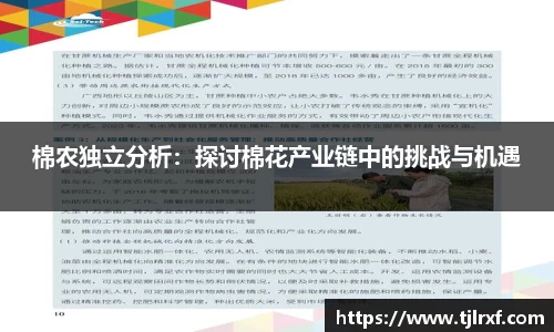 棉农独立分析：探讨棉花产业链中的挑战与机遇